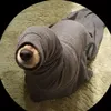 santttqw