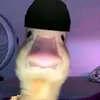 masteryimasteryi6