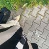 rashaalmoktar59