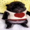 valentyne008