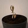 growingmangotree