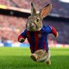 ruddy_666