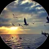 tiima_nm