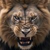 king.gokr