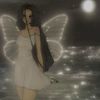 luna.light133