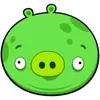 grassy.1st