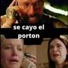 se_cayo_el_porton6