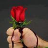 user718322261962