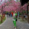 fitrianaya2n_86