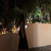 cristi_alvarez12