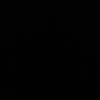 fvo30