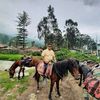 raulcruztuya