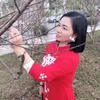 hongcau5