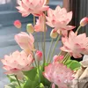 userjnla0dpv07