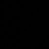r91l1