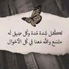 user8212739063814