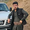 adib_qamishai