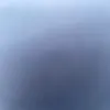 simonsprngr