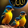 oum_souhaib2025