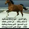 rilgl4