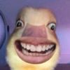 duck418