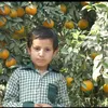 jamhaseeb841
