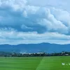 trn.minh9451