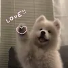 duochs_xsdoiten