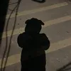 chiennchienn911