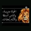 user97782115428794