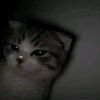 .dont_cream.1