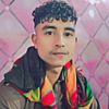 baloch.sahab317