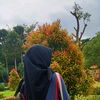 imarotun717_