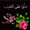 muhammadtariq0333