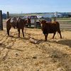 outtagasranch