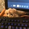 piciuw10