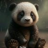 pandhaa3