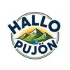 Hallo Pujon