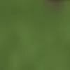 ejrvgehfbh