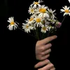 3lno_4