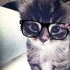 nitashh._.wrldd