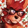 springyfox