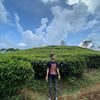 alexslsibrh