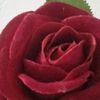 basma.mobail272