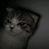 anothergrayday
