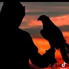 tarek_77t