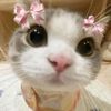 sleepyil_narr