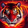 muniir_121