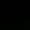 dnzl232