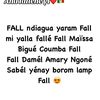 fall.bvndy